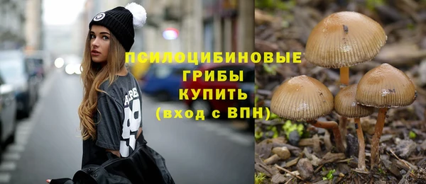 амфетамин Ельня