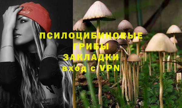 амф Елизово