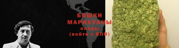 амф Елизово